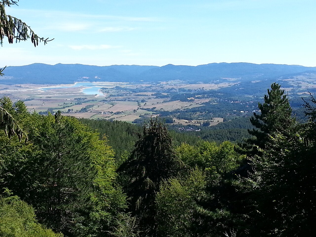 Panorama da Montescuro sul bosco del Tasso e sul lago Cecita