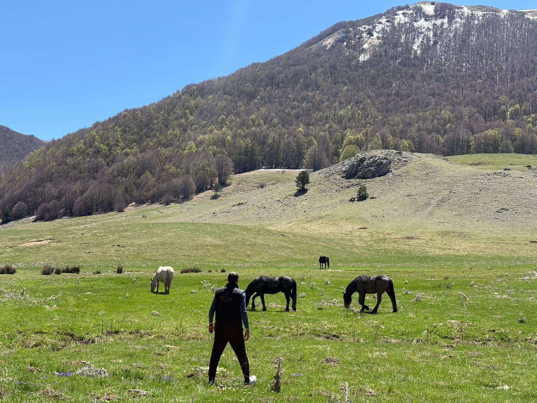 Eventi